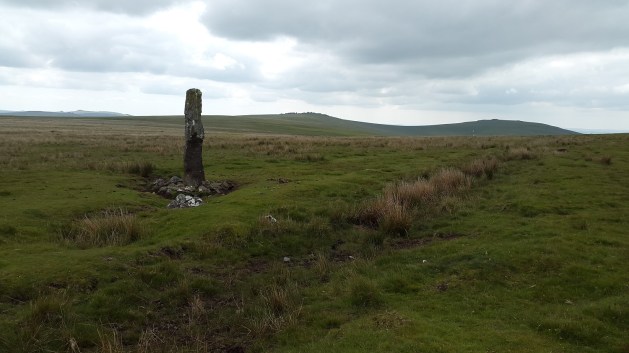 Lynch Tor 23