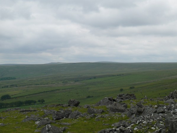 Lynch Tor 25