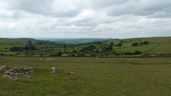 Lynch Tor 29