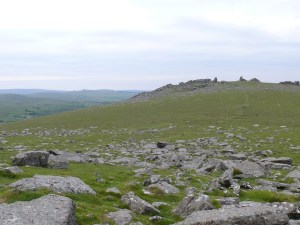 Lynch Tor 5