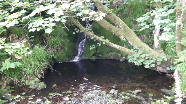 The small waterfall on Shavercombe brook, a good place to camp