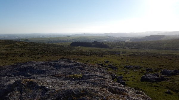 Looking west over Hanger Down