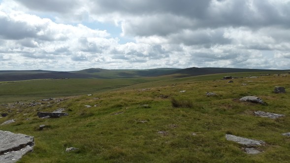 Looking south from Rowtor with