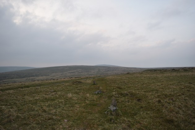 Butterdon Stone Row 1
