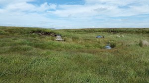 Cranmere pool, the letterbox and two sleeping people!!