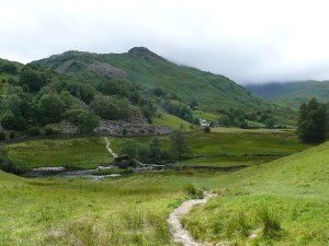 Holme Fell 1