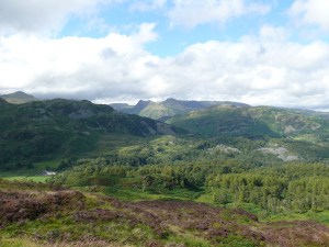Holme Fell 4