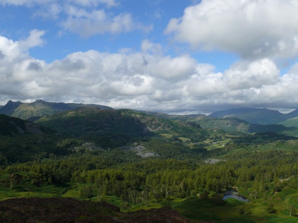 Holme Fell 5
