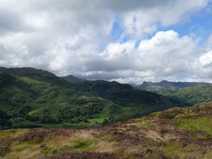 Holme Fell 7