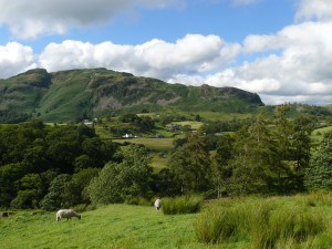 Holme Fell 9