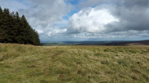 Looking east from Assycombe Hill 