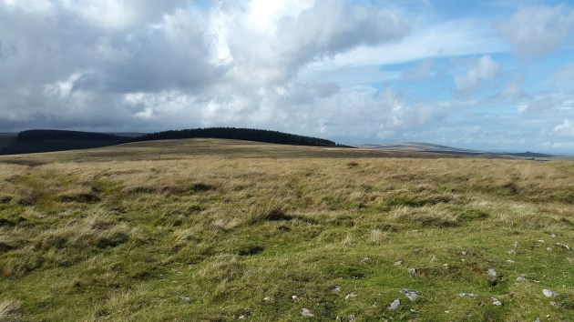 Looking to Assycombe Hill from Water Hill