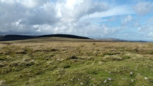 Looking to Assycombe Hill from Water Hill
