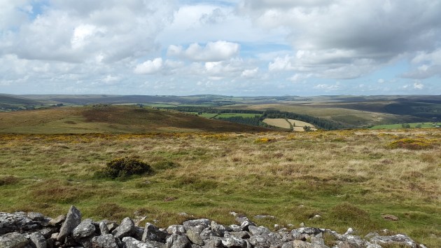 Looking over to Yar Tor and Princetown mast beyond