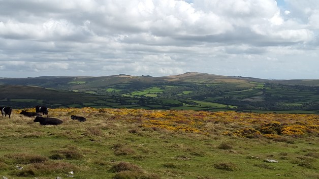 Haytor Rocks can clearly be seen