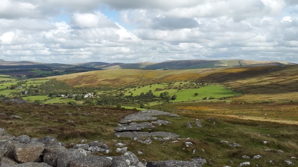Corndon Tor 7
