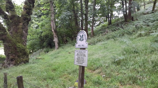 Sign at the bottom, follow the main track gradually uphill then turn right at the end of the trees