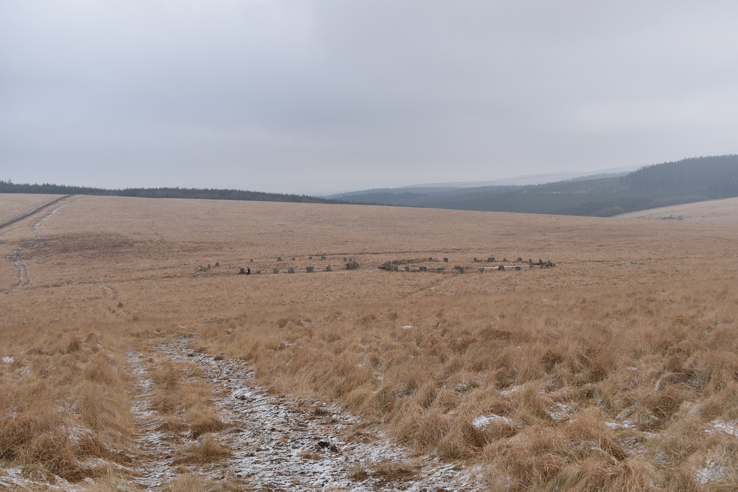 grey-wethers-1