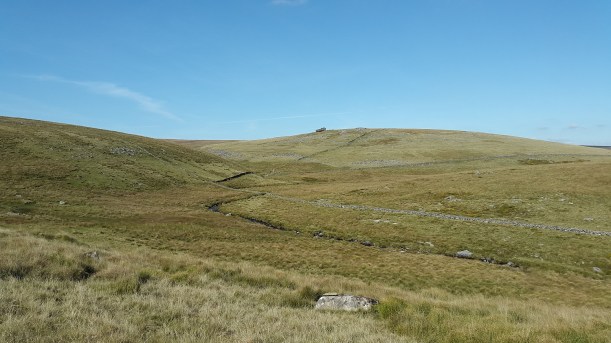 Rough Tor 26