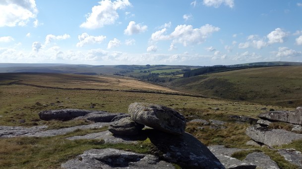 Rough Tor 7