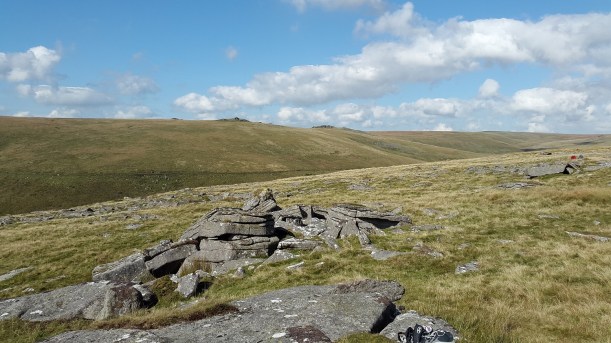 Rough Tor 8