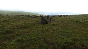 Grey Wethers