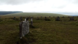 The two stone circles with what looks like an offering area on top of the stone to the left