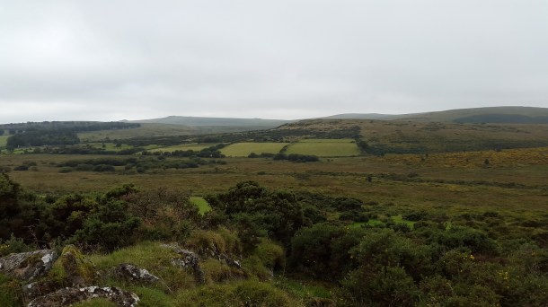 Looking across to Higher White Tor