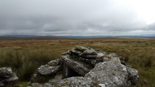 Sittaford Tor 31
