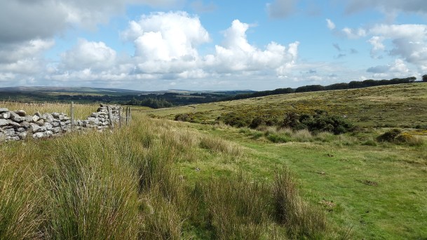 Sittaford Tor 53