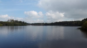Looking towards the Dam from the far end of Venford 