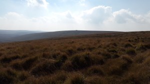 Distant Chat Tor