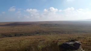 Higher Dunna Goat 2