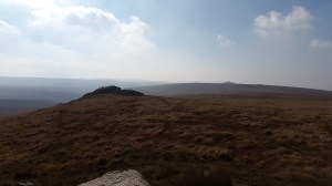 Higher Dunna Goat 4