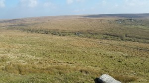 Lower Dunna Goat 3
