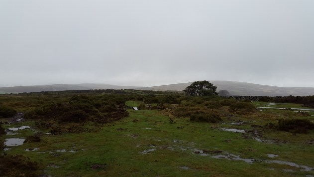A misty view to Rippon Tor to the right with Pil Tor to the left