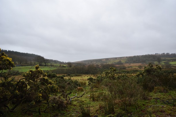 East Dart Waterfall 1