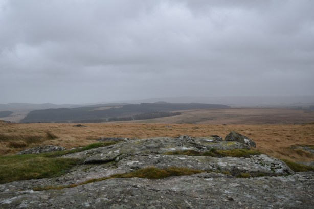 East dart Waterfall 15