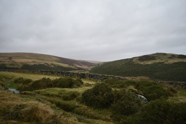 East dart Waterfall 17