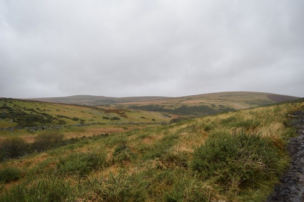 East dart Waterfall 2