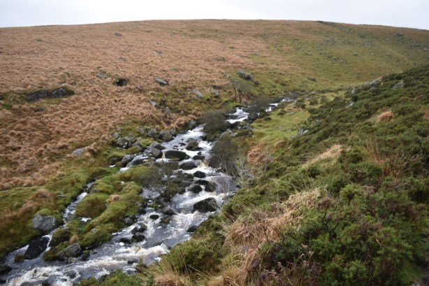 East dart Waterfall 7