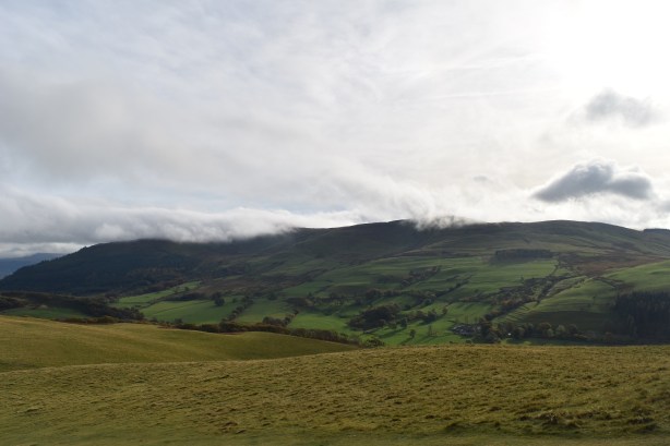 Sale Fell 6