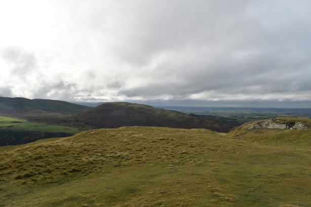 Sale Fell 7