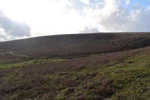 Berry Pound 1