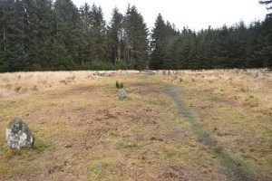 Fernworthy Circle 1