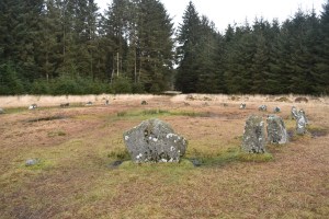 Fernworthy Circle 2
