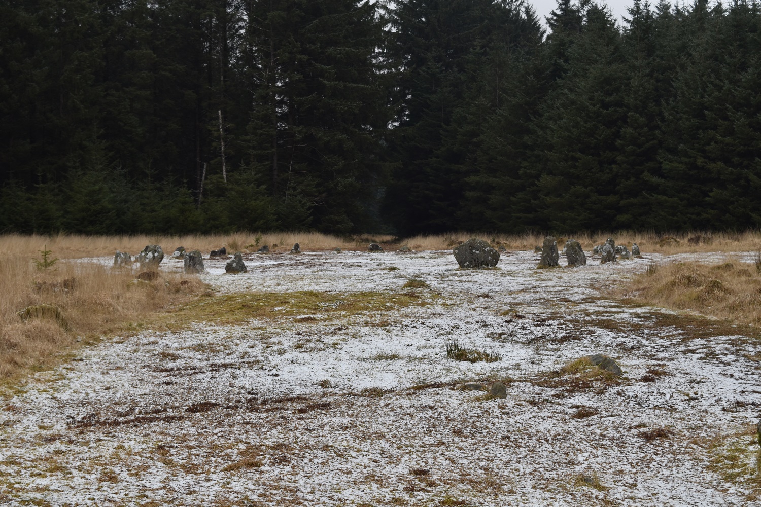 fernworthy-circle-3