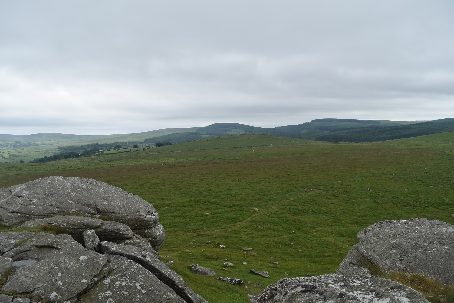 Kes Tor 7
