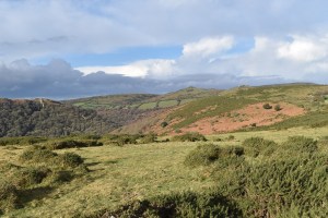 Mel Tor 5