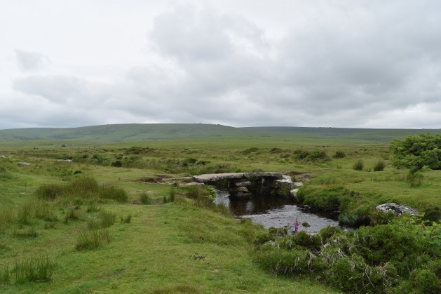 Teign-e-ver Clapper 3